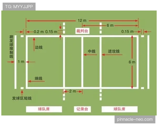 球场尺寸规则：国际赛与业余赛的长宽标准与关键差异